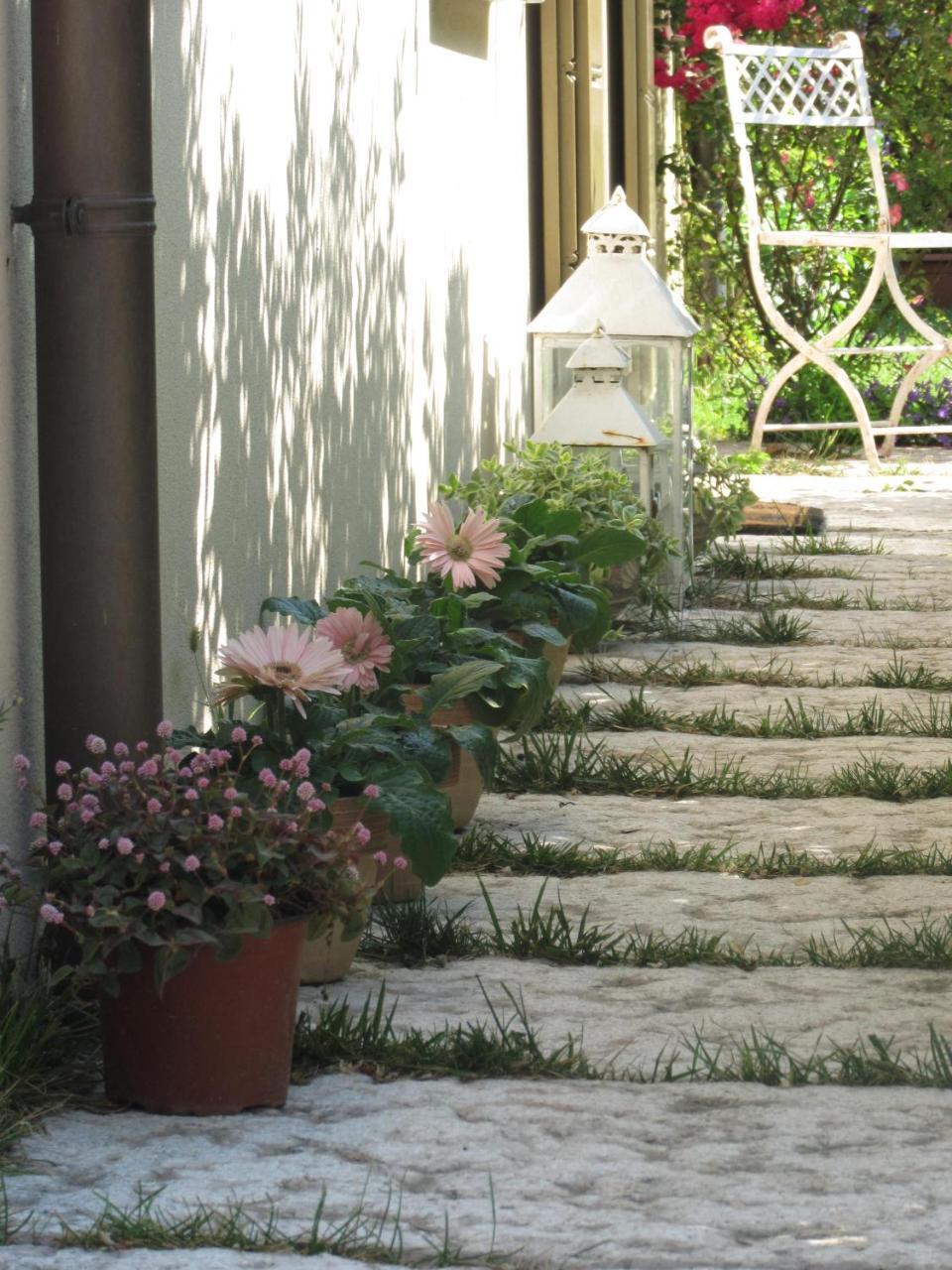 Casina Le Conserve 切塞纳蒂科 外观 照片